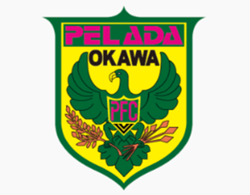 ペラーダ大川FC 新メンバー募集！体験練習随時　2027年度 福岡県