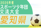 2026年度 AIFA 第35回少女サッカー大会U-10(愛知)要項掲載・決勝トーナメント11/29開催!9/26監督会議
