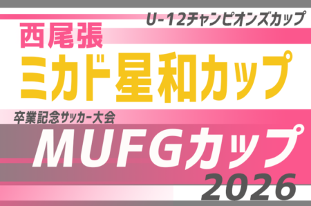 2026年度 第28回 ミカド星和カップ（愛知）11/28〜12/20開催！代表者会議11/14