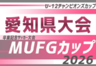 2026年度 第28回 ミカド星和カップ(愛知)11/28〜12/20開催!代表者会議11/14