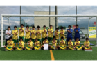 2026年度 第19回エコカップ 兼 しずぎんカップ静岡県U-11大会 東部/富士予選 組み合わせ掲載!11/28?~ 開催